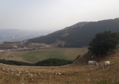 Monte Miletto da Campitello Matese