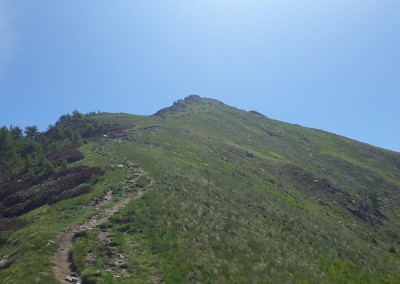 monte berlinghera altalena gigante escursione sorico san bartolomeo