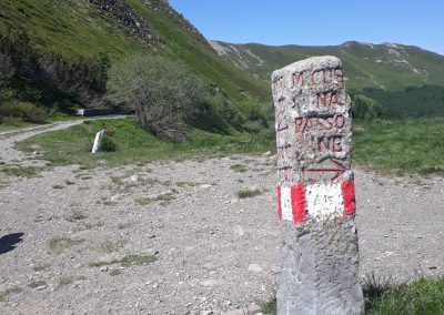 Escursione Monte Prado da Pianvallese