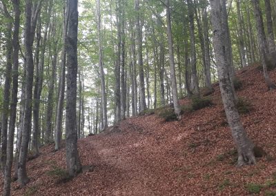 Escursione Monte Cimone da Lago della Ninfa