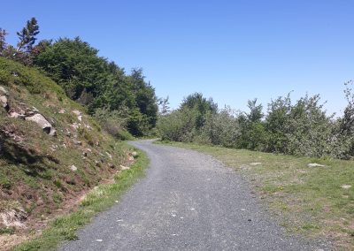 Escursione Monte Prado da Pianvallese