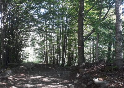 Escursione Monte Prado da Pianvallese