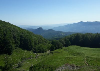 Escursione Monte Prado da Pianvallese