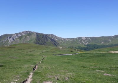 Escursione Monte Prado da Pianvallese