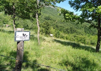 Cammino dei Briganti Abruzzo