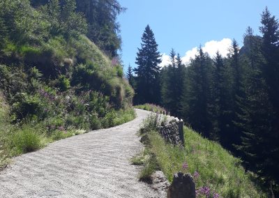 Escursione Rifugio Calvi da Carona