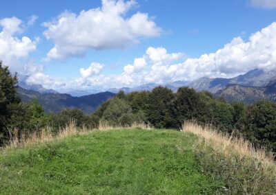 Escursione Sentiero dei Grandi Alberi da Morterone (Lecco)