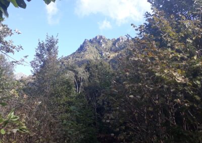 escursione anello monte ocone da carenno