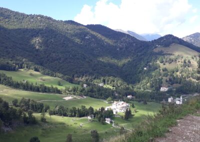 Escursione Sentiero dei Grandi Alberi da Morterone (Lecco)