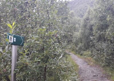 Escursione ghiacciaio Steindalsbreen Norvegia