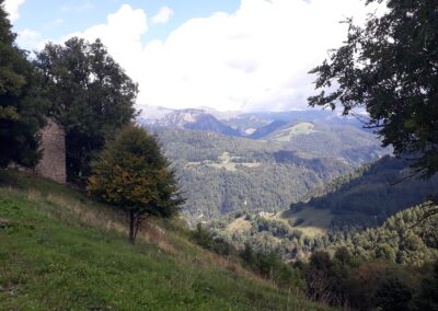 Escursione Sentiero dei Grandi Alberi da Morterone (Lecco)