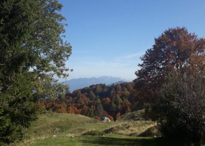 escursione monte altissimo e rifugio damiano chiesa