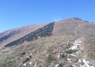 escursione monte altissimo e rifugio damiano chiesa