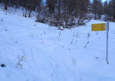 Escursione Val Ferret Plampinceaux Lavachey Rifugio Bonatti