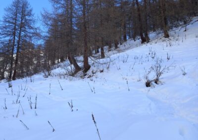 Escursione Val Ferret Plampinceaux Lavachey Rifugio Bonatti