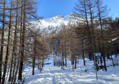 Escursione Val Ferret Plampinceaux Lavachey Rifugio Bonatti