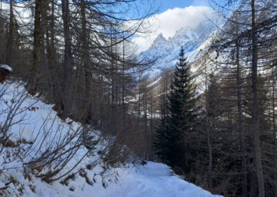 Escursione Val Ferret Plampinceaux Lavachey Rifugio Bonatti