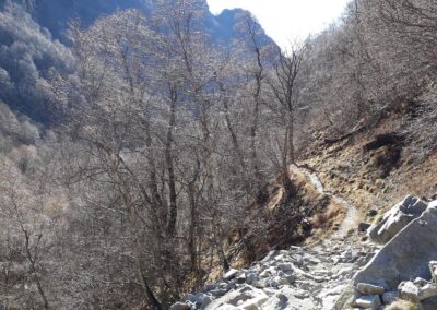 escursione rifugio tavecchia madonna della neve val biandino da introbio