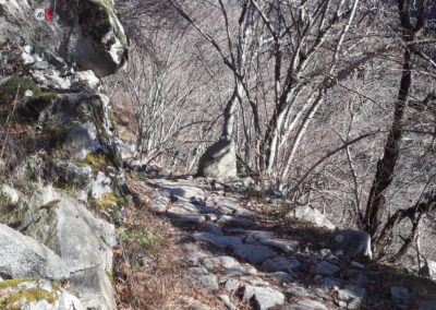 escursione rifugio tavecchia madonna della neve val biandino da introbio