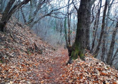 escursione anello monte bollettone capanna mara alpe del vicere