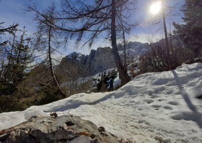 escursione invernale rifugio albani colere