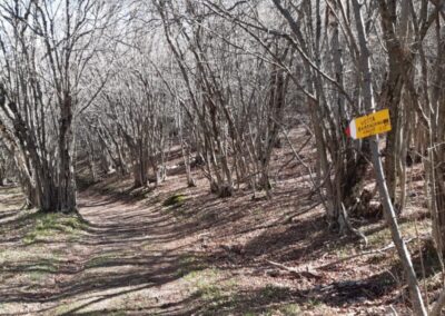 escursione monte barzaghino da caslino d'erba