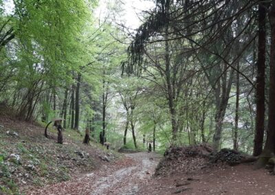 bosco degli gnomi escursion zone iseo