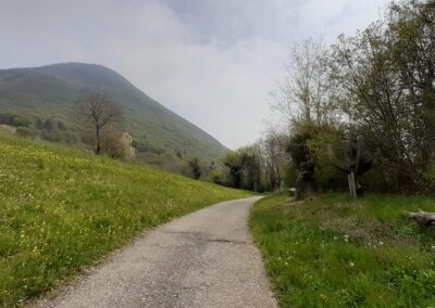 bosco degli gnomi escursion zone iseo