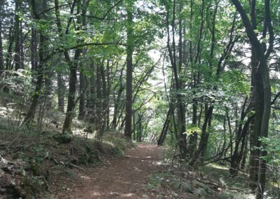 escursione anello monte pravello monte orsa viggiù