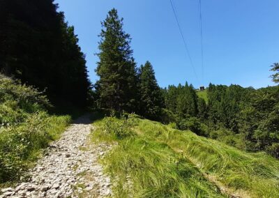 escursione mottarone stresa levo alpino