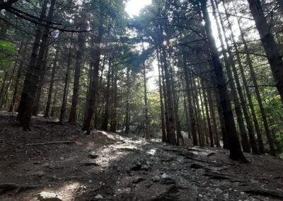 Escursione anello Monte Rai da Canzo Gajum