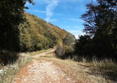 Escursione Onte Chiappo Monte Ebro Pian del Poggio