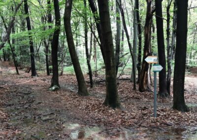 punta paradiso sasso paradiso escursione porto ceresio parco cinque vette