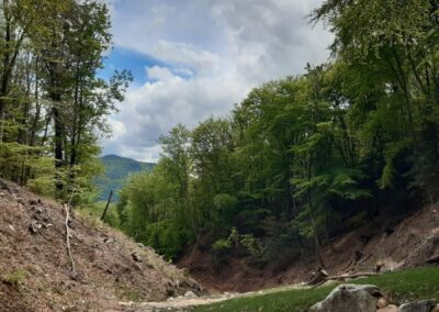 punta paradiso sasso paradiso escursione porto ceresio parco cinque vette