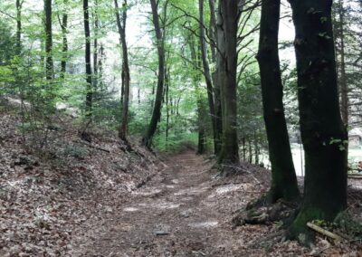 punta paradiso sasso paradiso escursione porto ceresio parco cinque vette