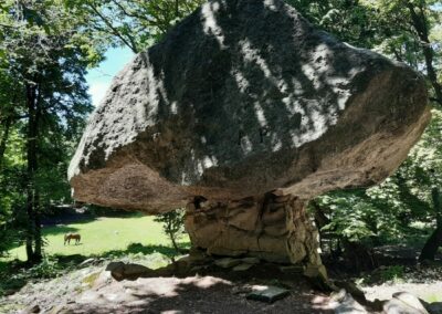 montepiatto escursione anello brunate