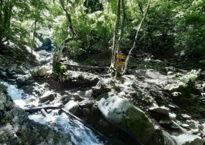 montepiatto escursione anello brunate