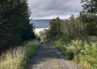 escursione islanda foresta di Hallormsstaður