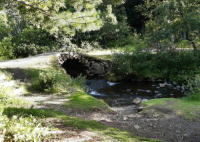 Escursione ad anello nella foresta di Hallormsstaður (Islanda)