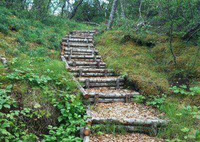 escursione islanda foresta di Hallormsstaður