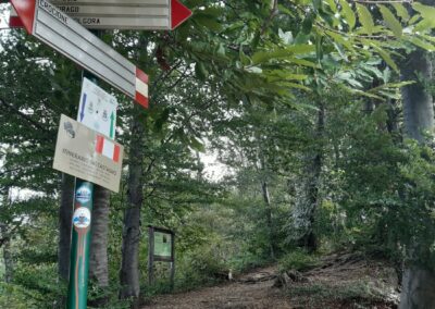 escursione anello borgo fantasma consonno da figina