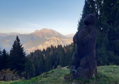 Escursione Sentiero del Bosco Incantato Colle Vareno