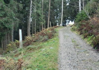 Escursione Sentiero del Bosco Incantato Colle Vareno