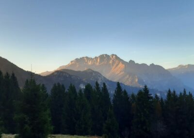 Escursione Sentiero del Bosco Incantato Colle Vareno