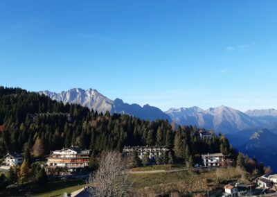 Escursione Sentiero del Bosco Incantato Colle Vareno